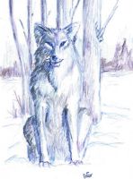 Winter wolf